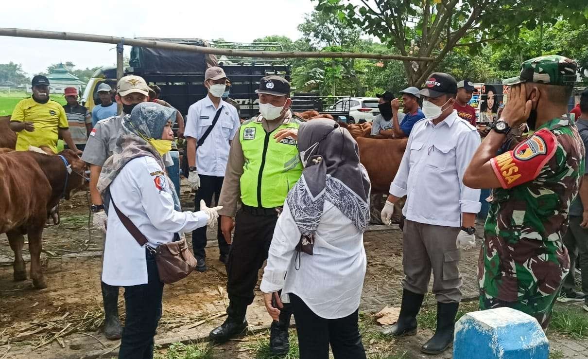 Tim gabungan yang tengah memeriksa hewan ternak di pasar hewan Kecamatan Sumberejo (Foto: Dokumentasi Kodim Bojonegoro)