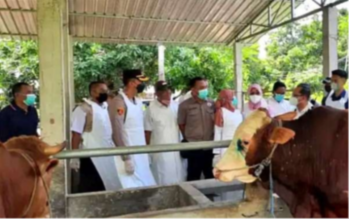 Disnakkeswan Situbondo terjun mantri hewan dan libatkan TNI/Polri membendung virus PMK yang menyerang ternak sapi. (foto:disnakkeswan Situbondo)