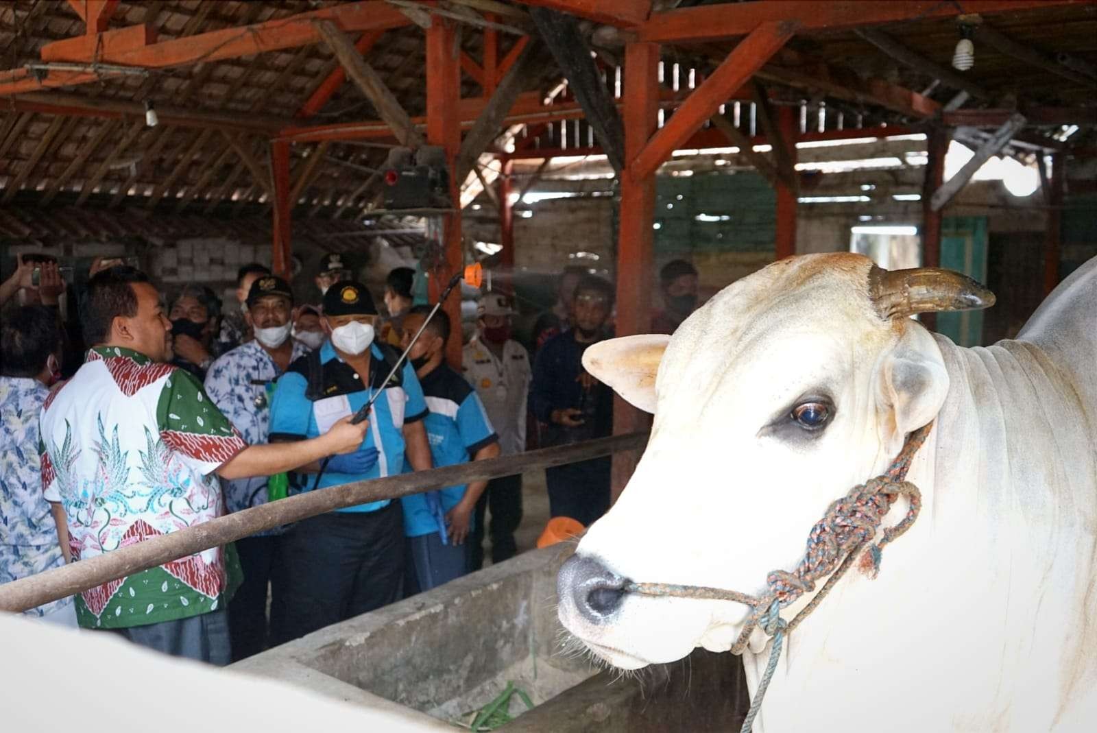 Bupati Blora kunjungi peternakan sapi komunal Desa Palon Kecamatan Jepon Kabupaten Blora. (Foto: Istimewa)