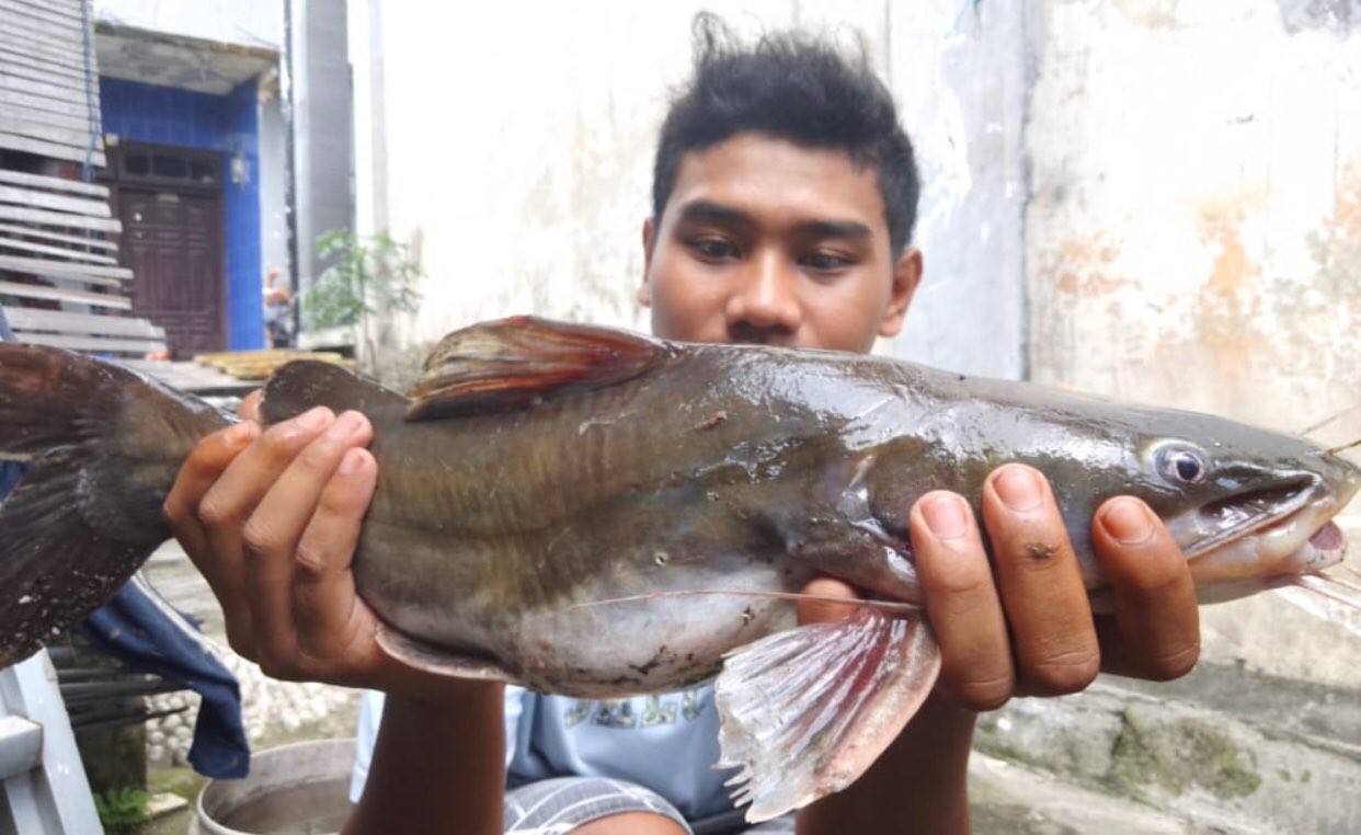 Salah satu ikan yang didapatkan warga dari Sungai Brantas (Foto: dok. Ecoton)