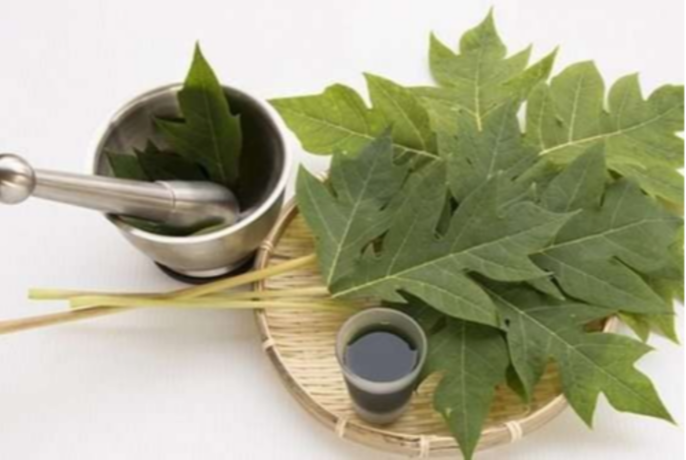 Ilustrasi manfaat daun pepaya sebagai obat tradisional. (Foto: Istimewa).