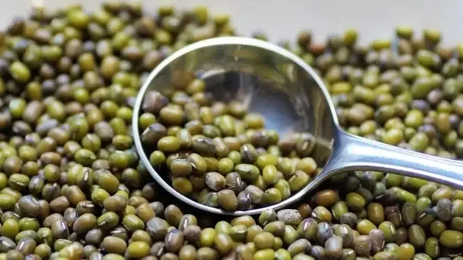 Ilustrasi kacang hijau menjadi olahan makanan yang bisa mengatasi kolesterol. (Foto: Istimewa)