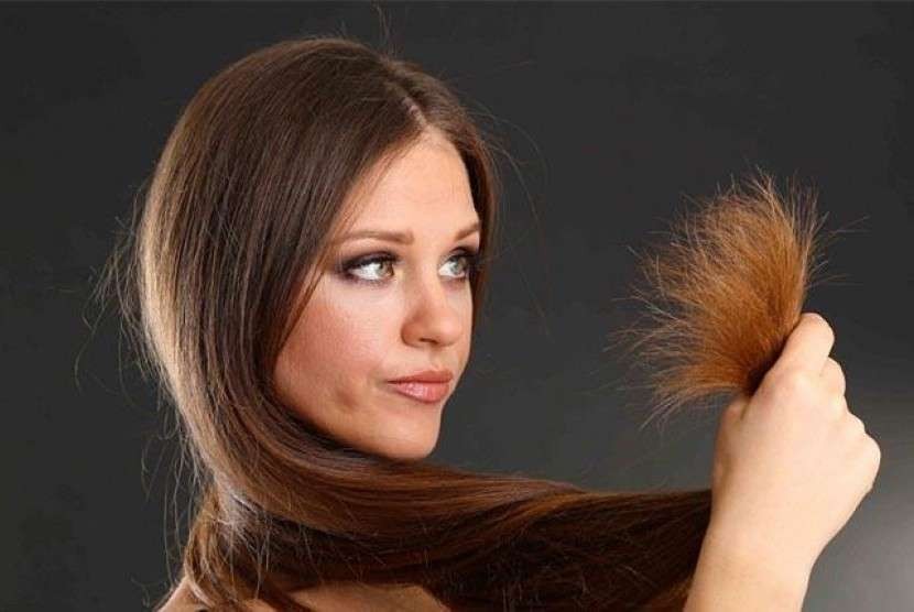 Ilustrasi penyebab rambut bercabang dan cara mengatasinya dengan menggunakan bahan alami.(Foto: Istimewa)