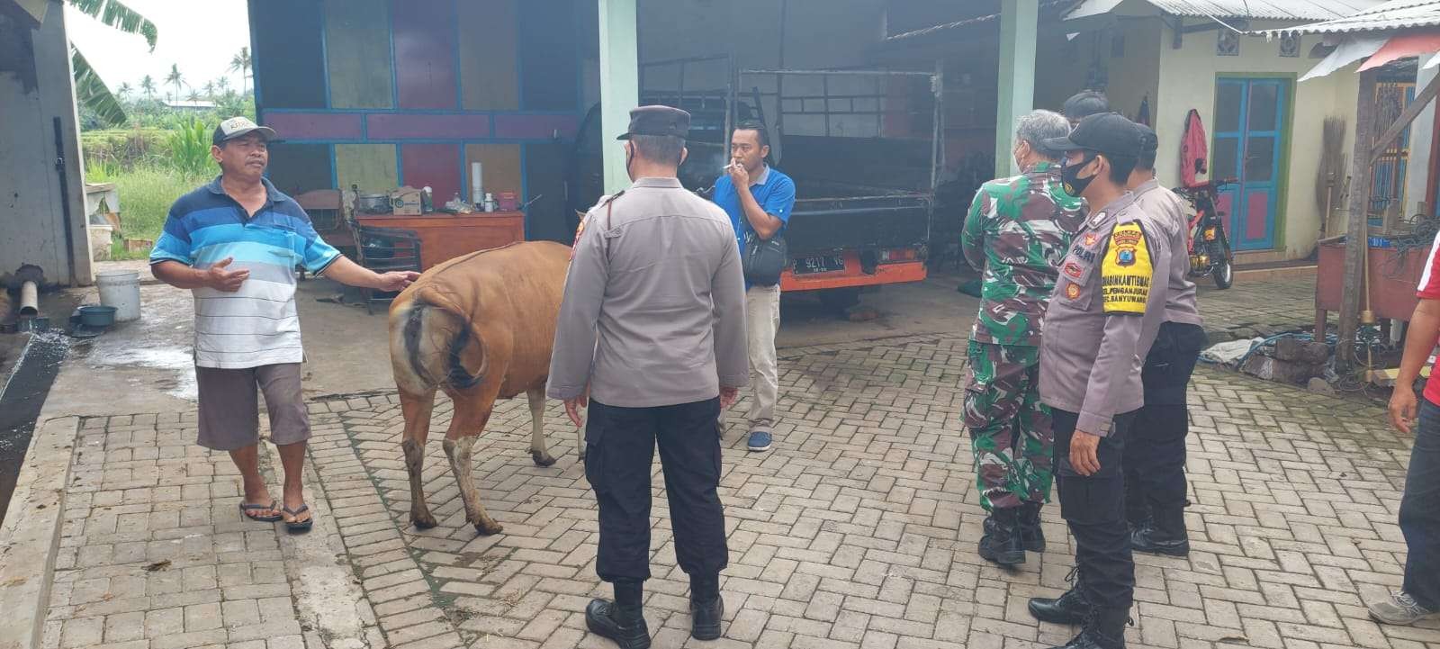 Petugas mendatangi pemilik ternak untuk melakukan pencegahan PMK. (Foto: Istimewa)