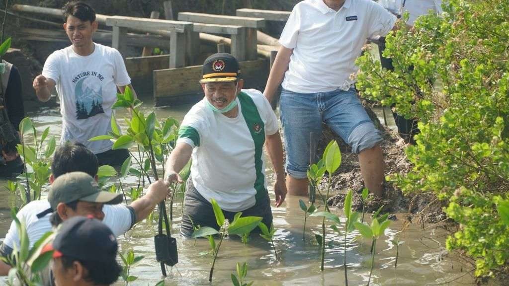 Deputi 5 Kemenko PMK, Didik Suhardi (bertopi hitam) ikut nyemplung menanam pohon mangrove. (Foto: ist)