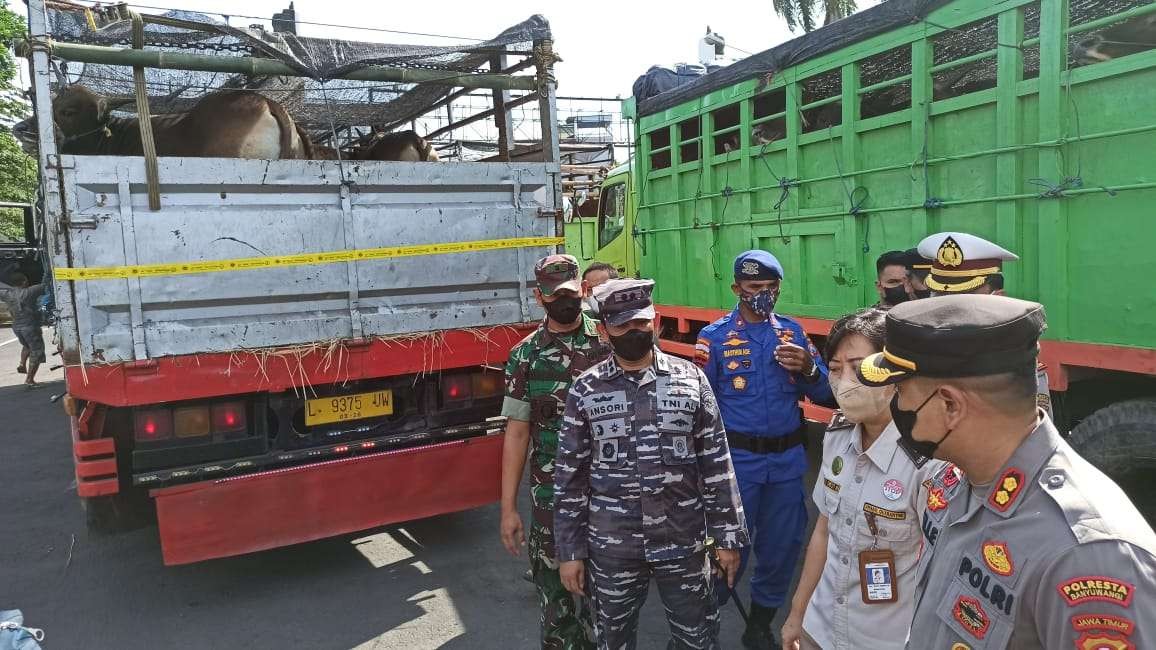 Pimpinan TNI dan Polri di Banyuwangi melakukan sidak lalu lintas ternak dari Bali ke Jawa di Pelabuhan Ketapang bersama pihak Balai Karantina (foto:Muh Hujaini/Ngopibareng.id)