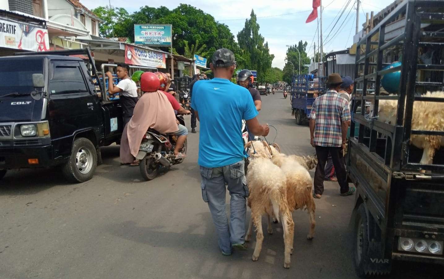 Suasana penjual kambing berjualan di tepi jalan (Foto: Khoirul Huda/Ngopibareng.id)