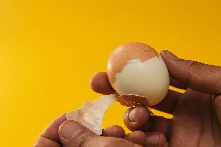 Ilustrasi konsumsi telur biasanya membuat orang ketakutan karena takut muncul bisul. (Foto: Istimewa)