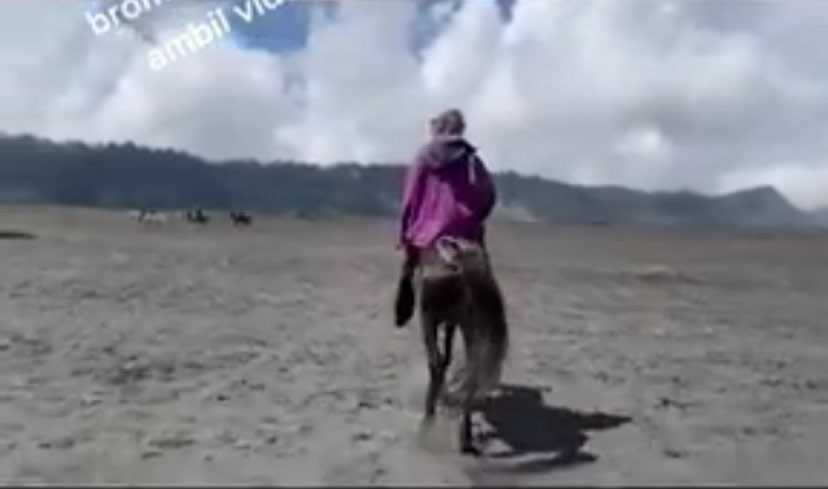Tangkapan layar potongan video wisatawan di Bromo naik kuda. (Foto: Istimewa)