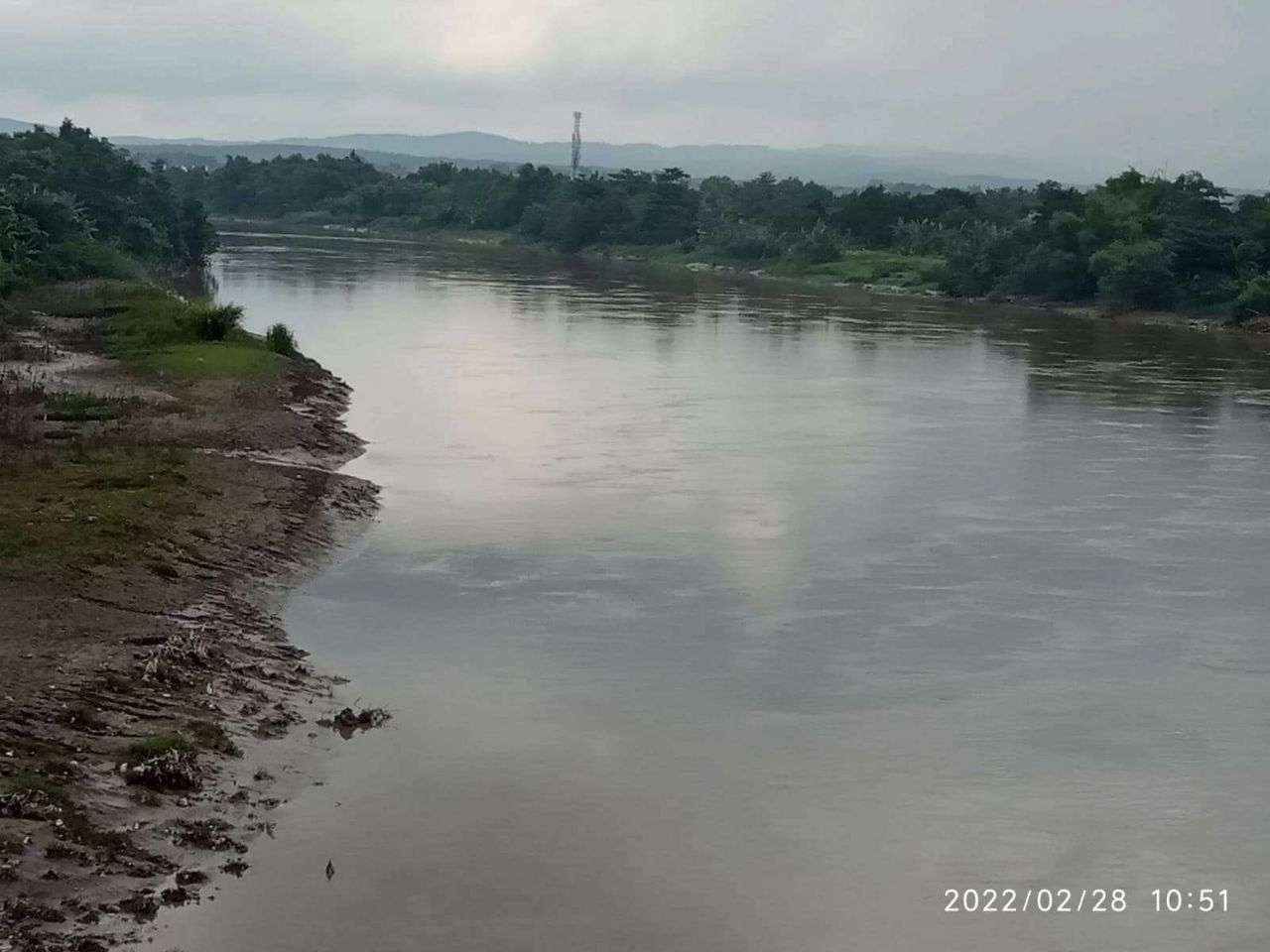 Sungai Bengawan Solo, saat air mulai surut.(Foto: Sujatmiko/Ngopibareng.id)