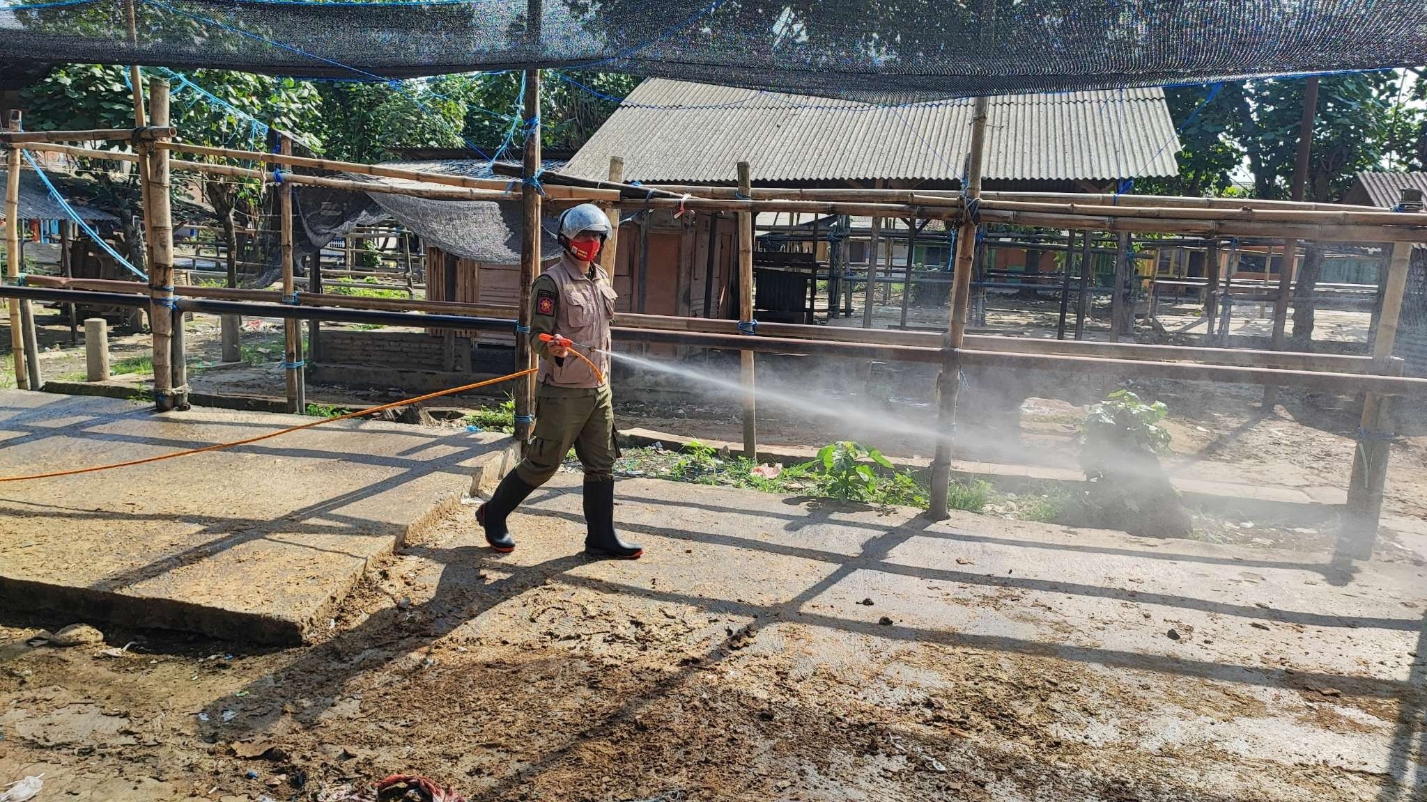 Proses disinfeksi di salah satu peternakan di Malang. (Foto: Lalu Theo/Ngopibareng.id)