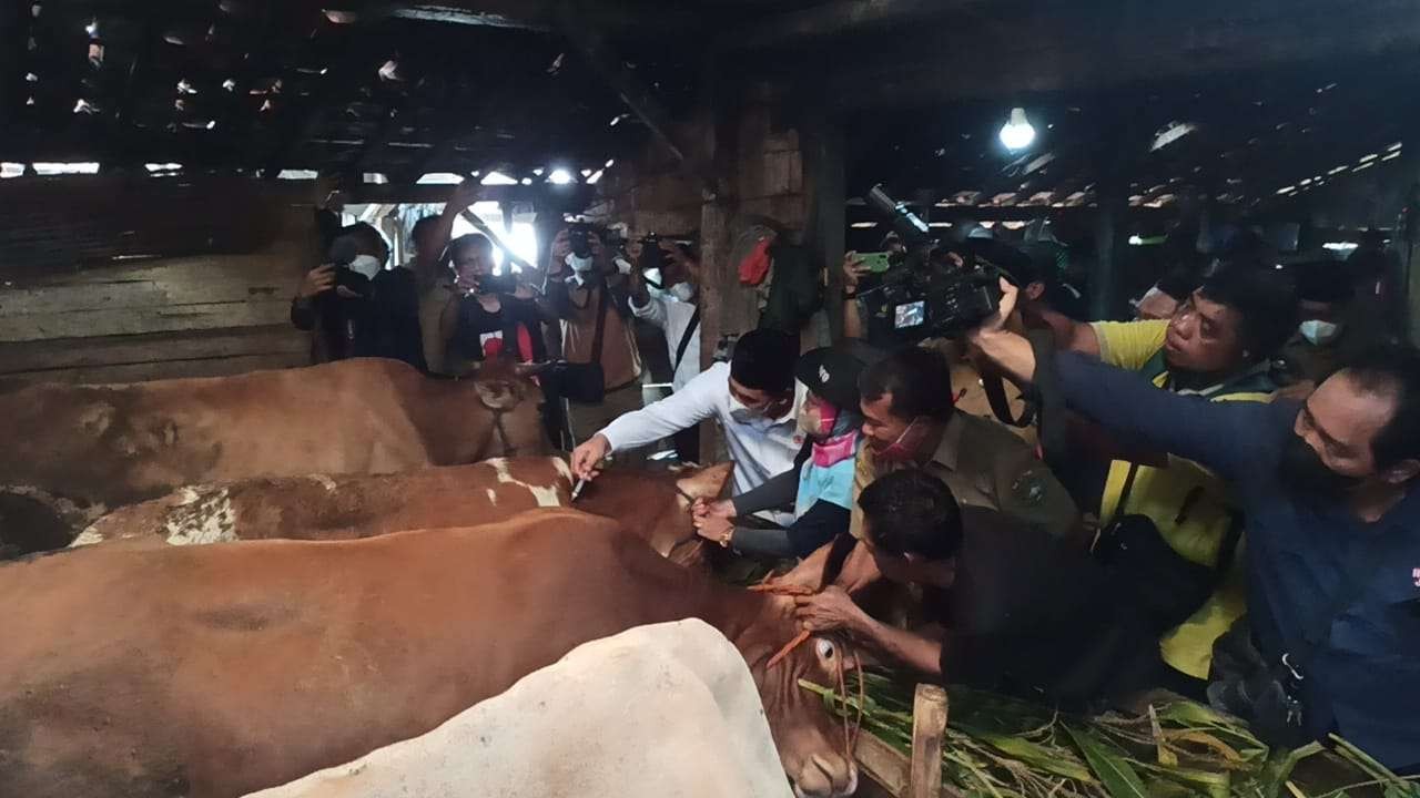 Wakil Gubernur Jawa Tengah Taj Yasin (berpeci mengenakan pakaian putih), saat peluncuran vaksinasi sapi di Blora beberapa waktu lalu. (Foto: ist)