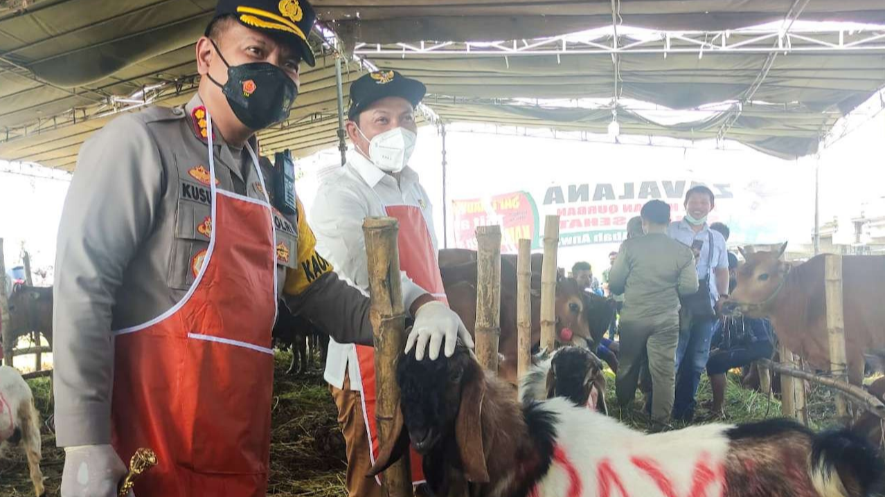 Kapolresta Sidoarjo bersama Wakil Bupati kunjungi lapak pedagang hewan kurban (foto : Aini/Ngopibareng.id)