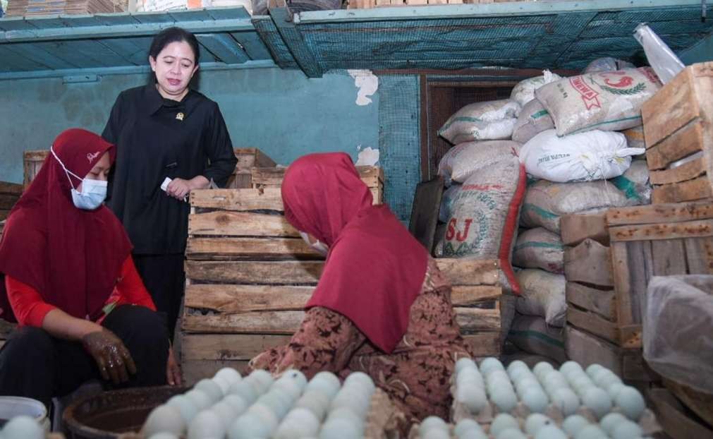 Ketua DPR RI Puan Maharani dalam kunjungan kerja di Jawa Tengah, mengunjungi sentra produksi telur asin di Brebes. Wakil Ketua Umum PDIP itu memborong beberapa kotak untuk oleh dan dibagikan pada teman temannya. (Foto: Istimewa)
