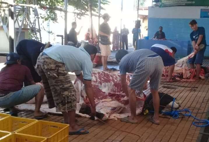 Sejumlah petugas sedang menyembelih hewan kurban di Rumah Pemotongan Hewan (RPH) Kota Probolinggo. (Foto: Ikhsan Mahmudi/Ngopibareng.id)