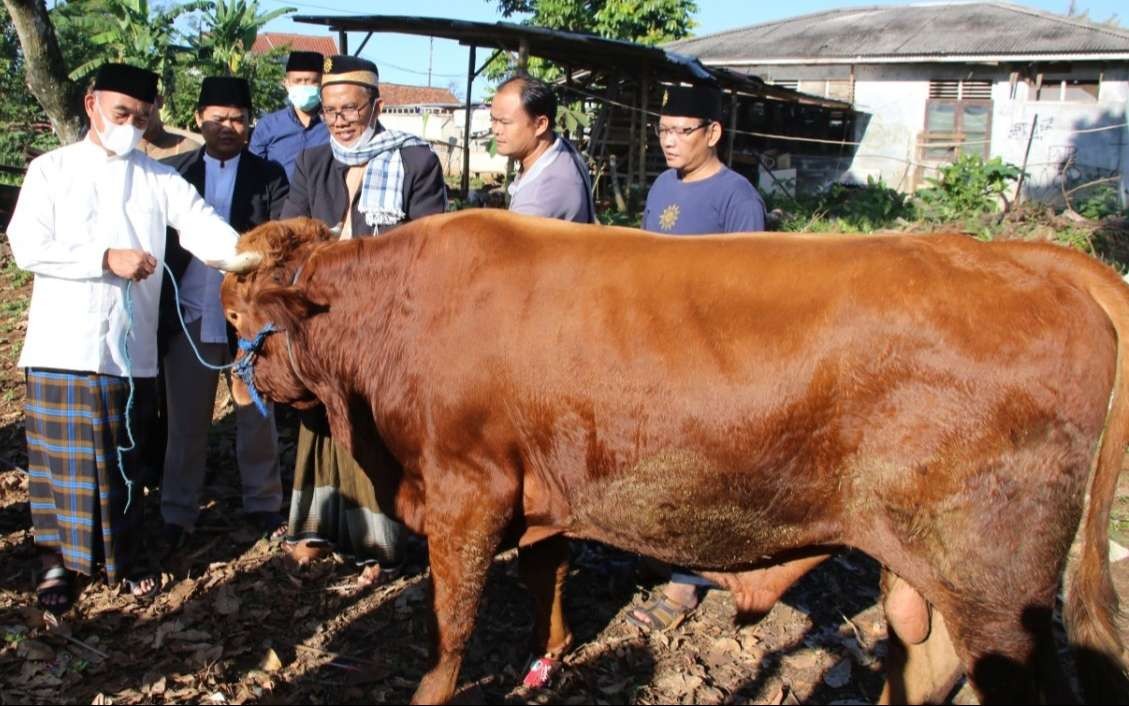 Menko PMK Muhadjir Effendy menyerahkan  hewan kurban berupa seekor sapi setelah menjadi khatib salat Idul Adha di Muhammadiyah Boarding School (MBS) Ki Bagus Hadikusumo, Bogor, Sabtu 9 Juli 2022. (Foto: Istimewa)
