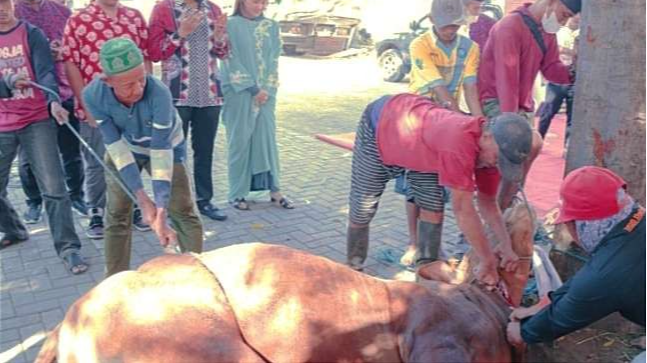 Polres Situbondo membagikan 865 bungkus daging kurban dari pemotongan enam ekor hewan kurban Idul Adha 1443 H/2022 M.(Foto: Guido Saphan/Ngopibareng.id)