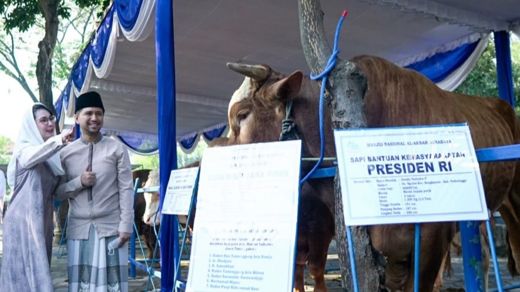 Plt. Gubernur Jawa Timur (Jatim) Emil Elestianto Dardak menyerahkan sapi milik sejumlah tokoh ke Masjid Nasional Al Akbar Surabaya (Foto: Istimewa)