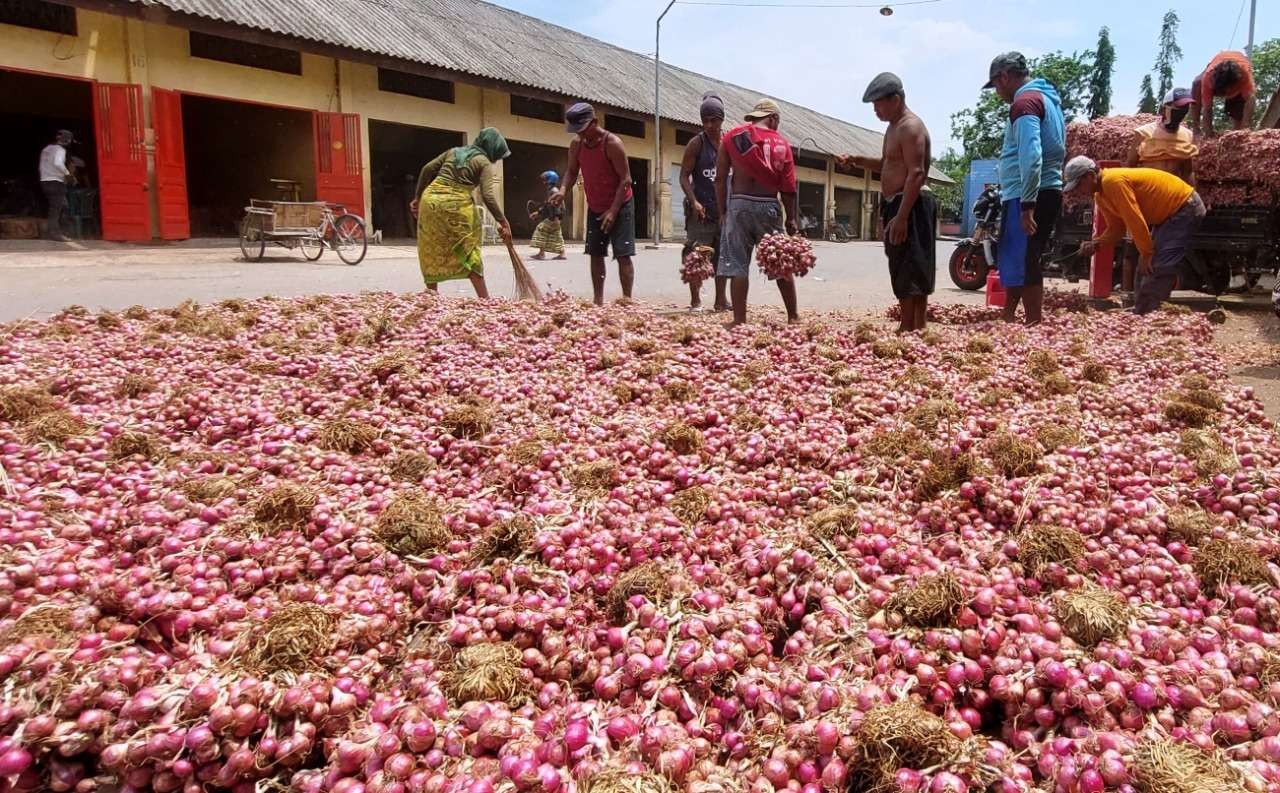 Harga bawang merah di Pasar Bawang Merah, Kecamatan Dringu, Kabupaten Probolinggo, masih bertengger lumayan tinggi, Rp 56.000 per kilogram. (Foto: Ikhsan Mahmudi/Ngopibareng.id)