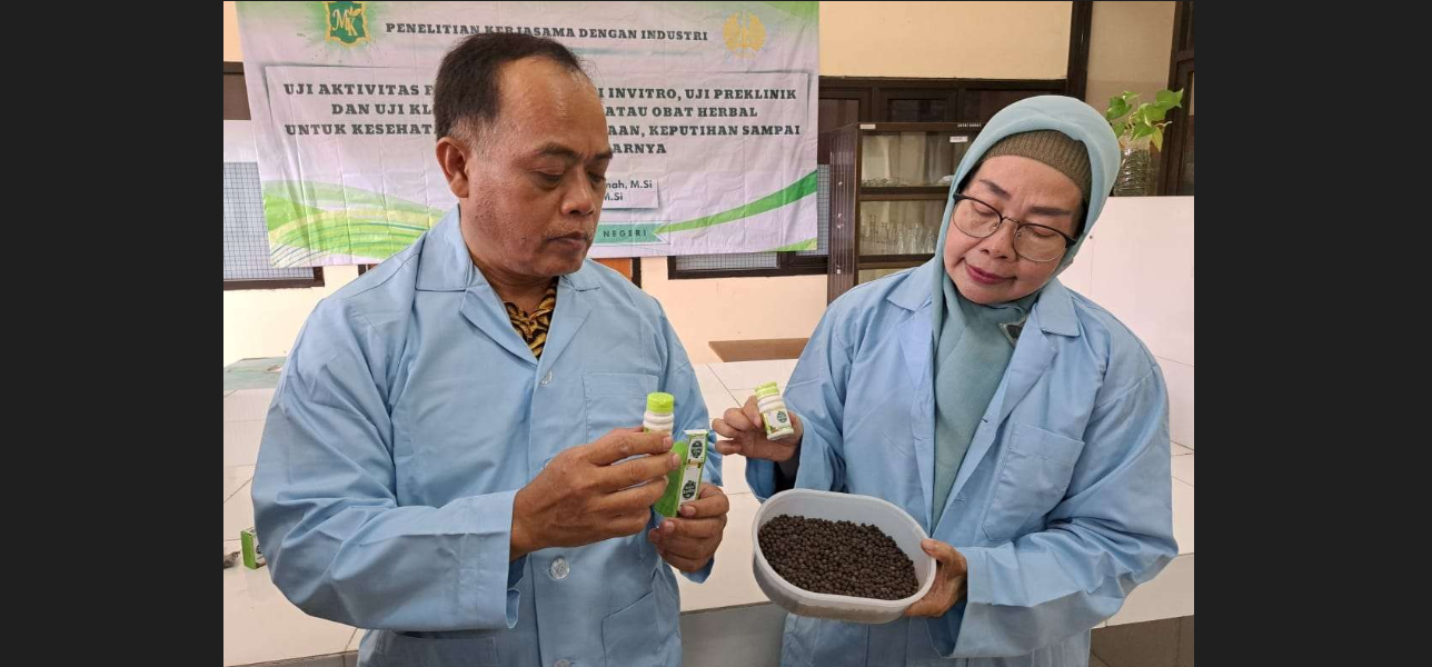 Prof. Dr. Titik Taufikurohmah, M.Si., dan Prof Dr Suyatno, M.Si menunjukan ekstrak buah manjakani. Khasiatnya untuk membersihkan organ intim perempuan. (Foto: Pita Sari/Ngopibareng.id)