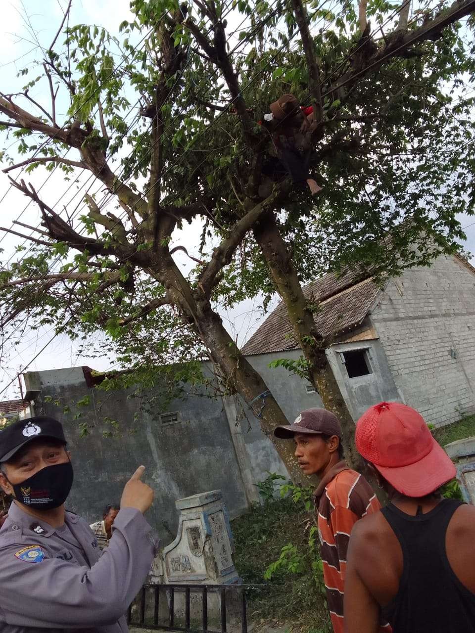 Subiyatno, 62 tahun, warga Dusun Pranggang Timur Desa Pranggang Kecamatan Plosoklaten Kabupaten Kediri, ditemukan warga meninggal di pohon ceri. (Foto: Istimewa)