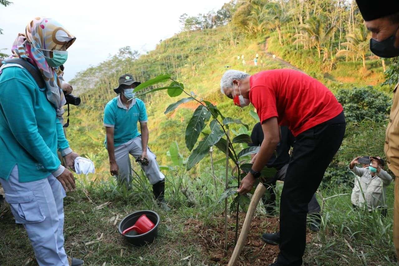 Gubernur Jawa Tengah Ganjar Pranowo saat menanam pohon di lahan kritis di Desa Majalengka, Kecamatan Bawang, Kabupaten Banjarnegara. (Foto: ist)