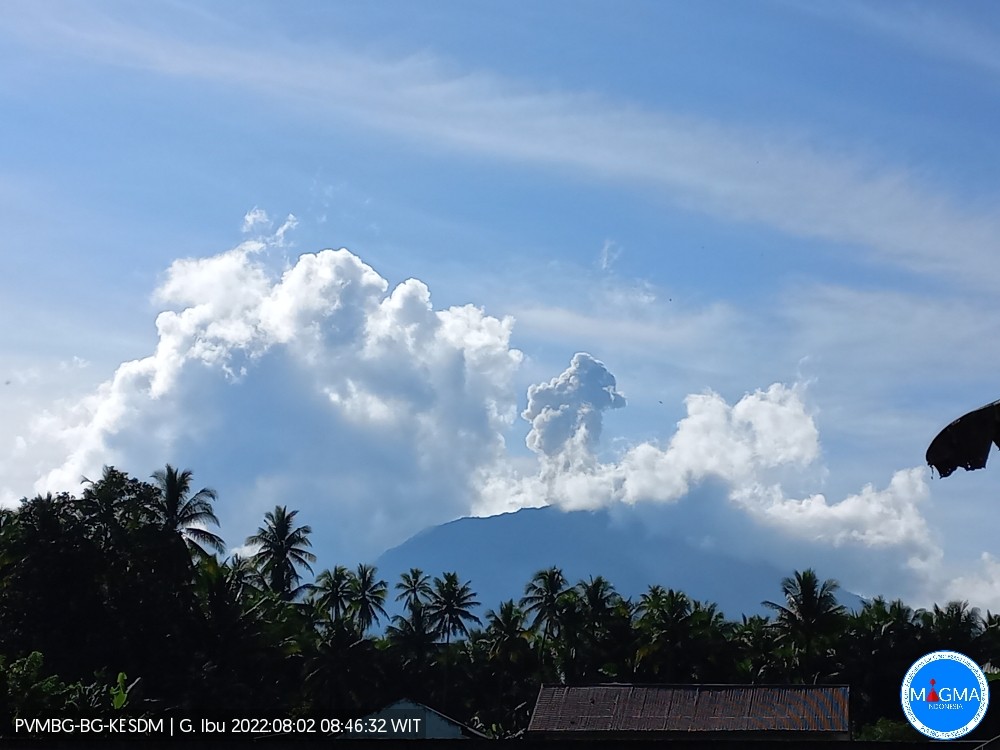 Gunung Ibu di Halmahera alami erupsi dengan keluarkan abu vulkanik setinggi 800 meter. (Foto: PVMBG)