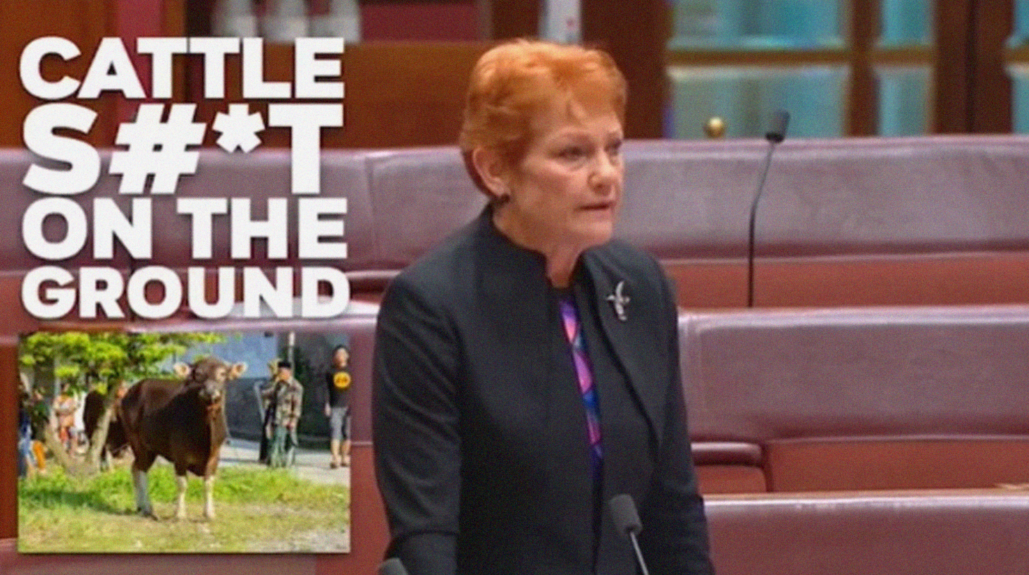 Pauline Hanson menuding kotoran sapi di Bali membawa wabah Penyakit Mulut dan Kuku (PMK) di negaranya, Australia. (Foto: Instagram @senatorpaulinehanson)
