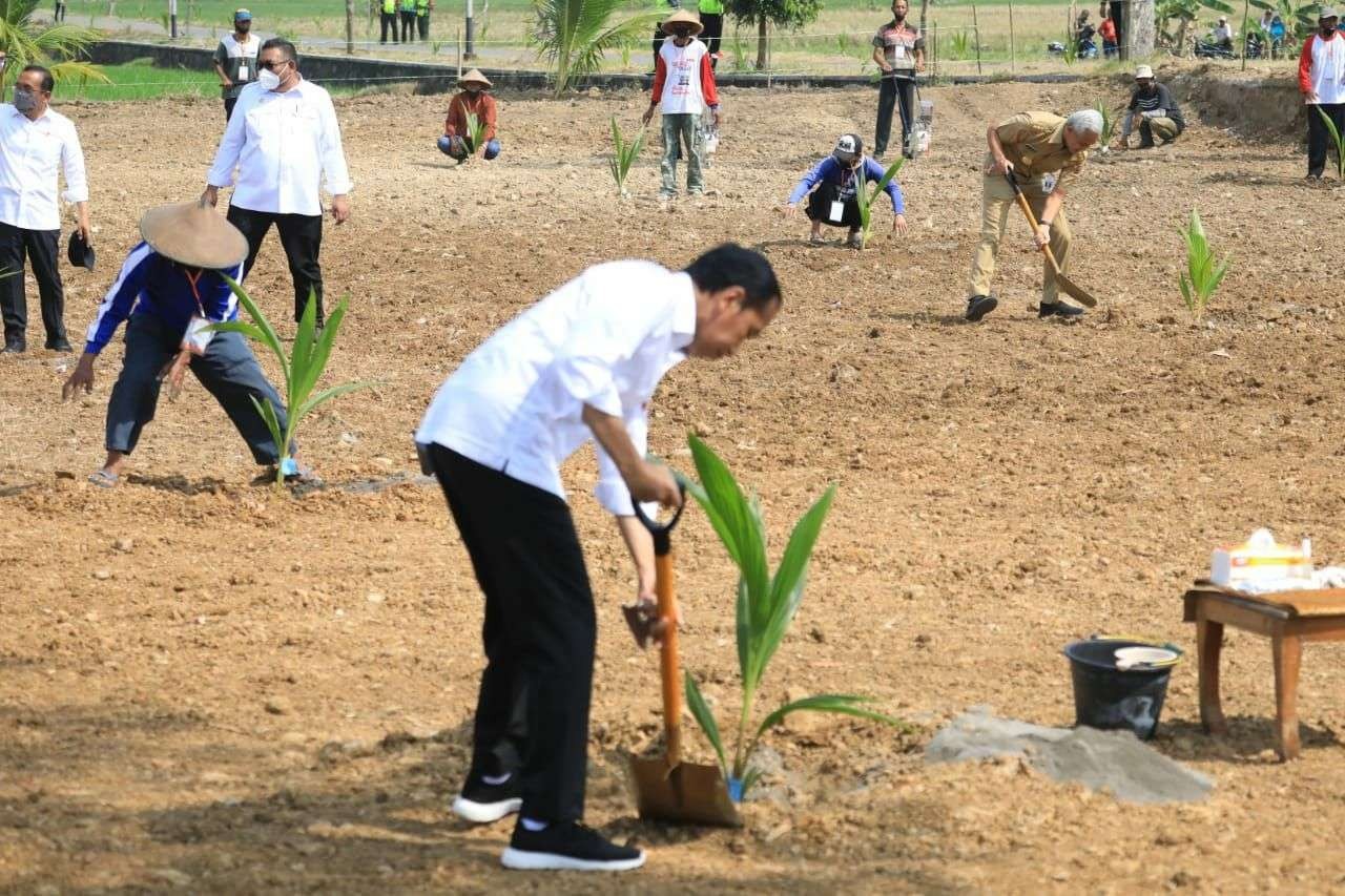 Presiden Joko Widodo menyerahkan ratusan ribu benih kelapa genjah ke Jawa Tengah. Bantuan diterima Gubernur Jateng Ganjar Pranowo. (Foto: ist)