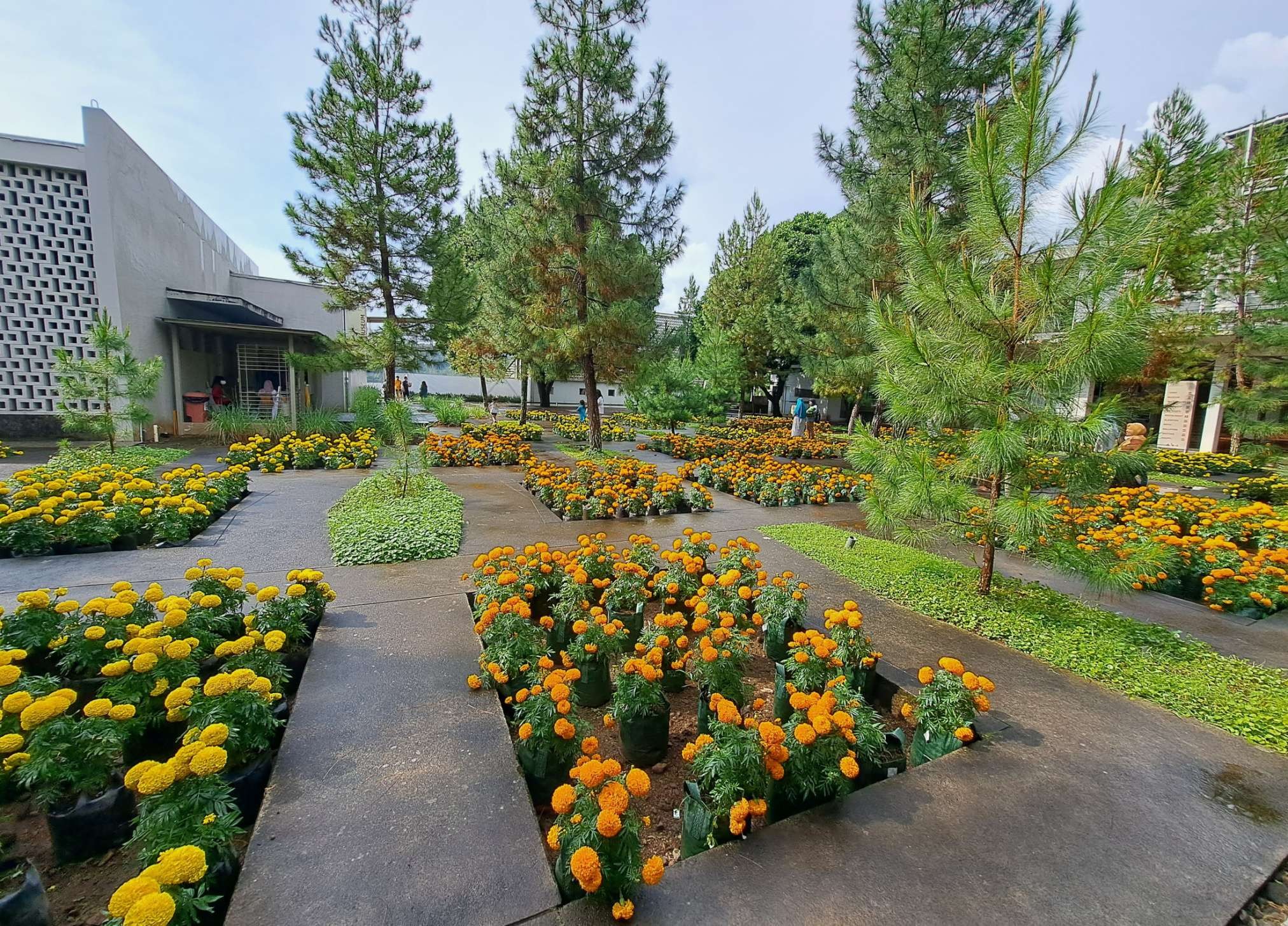 Kawasan Rumah Atsiri Indonesia yang menawarkan wisata aromatic garden wellness. (Foto: Pita Sari/Ngopibarengi.id)