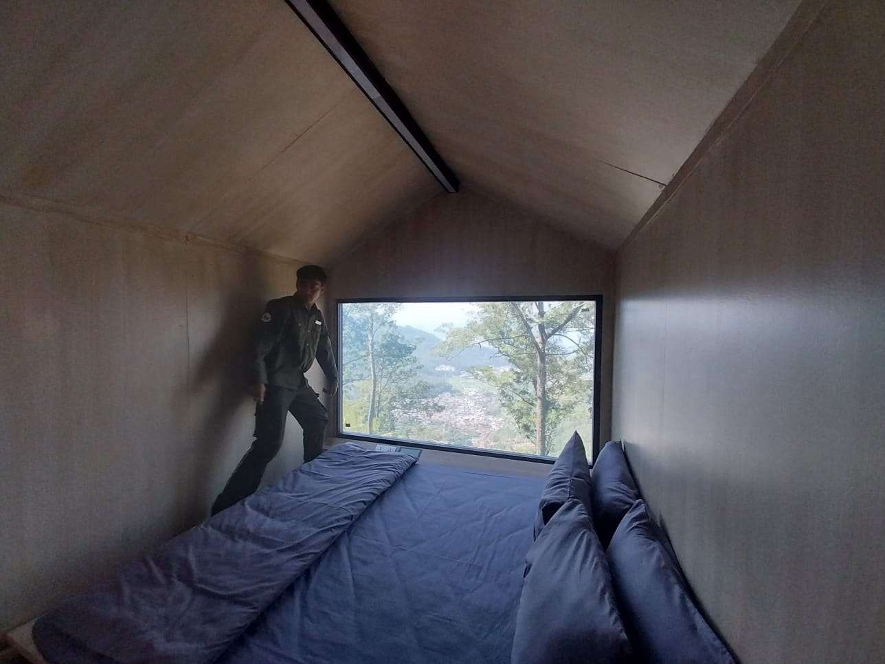Terlihat di kabin yang menghadap ke hutan pinus (Foto: Lalu Theo/ngopibareng.id)