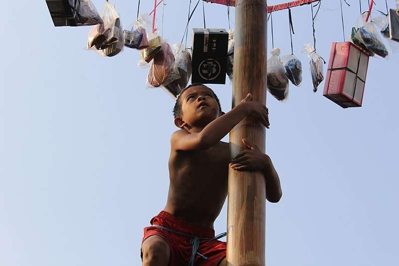 Anak kecil yang mendekati puncak di lomba panjat pinang. (Foto: Wikimedia.org)