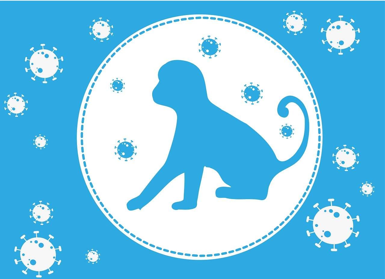 Ilustrasi virus cacar monyet yang mulai masuk di Indonesia. (Foto: Pixabay)