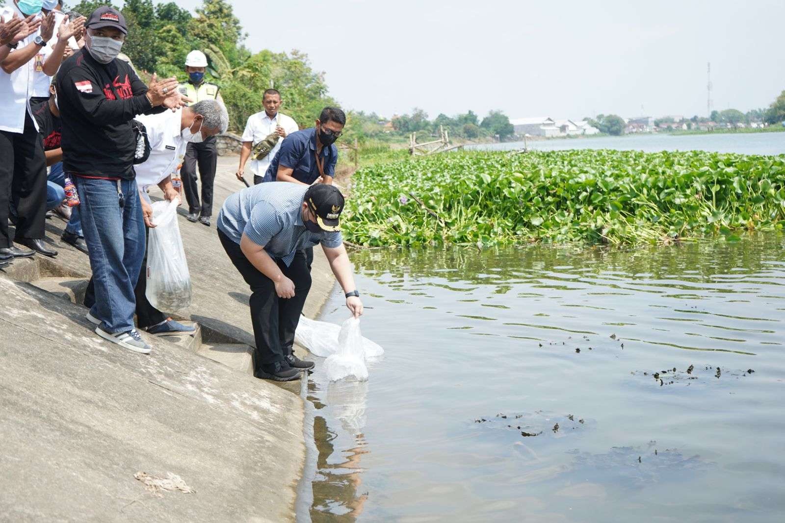 Bupati Kediri Hanindhito Himawan Pramana menebar benih ikan lokal di Sungai Brantas. (Foto: Kominfo Kabupaten Kediri)