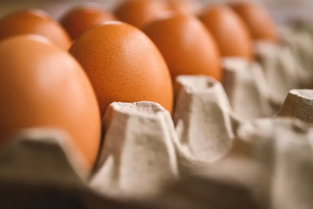 Ilustrasi telur yang mengalami kenaikan harga cukup tinggi. (Foto: Pixabay)
