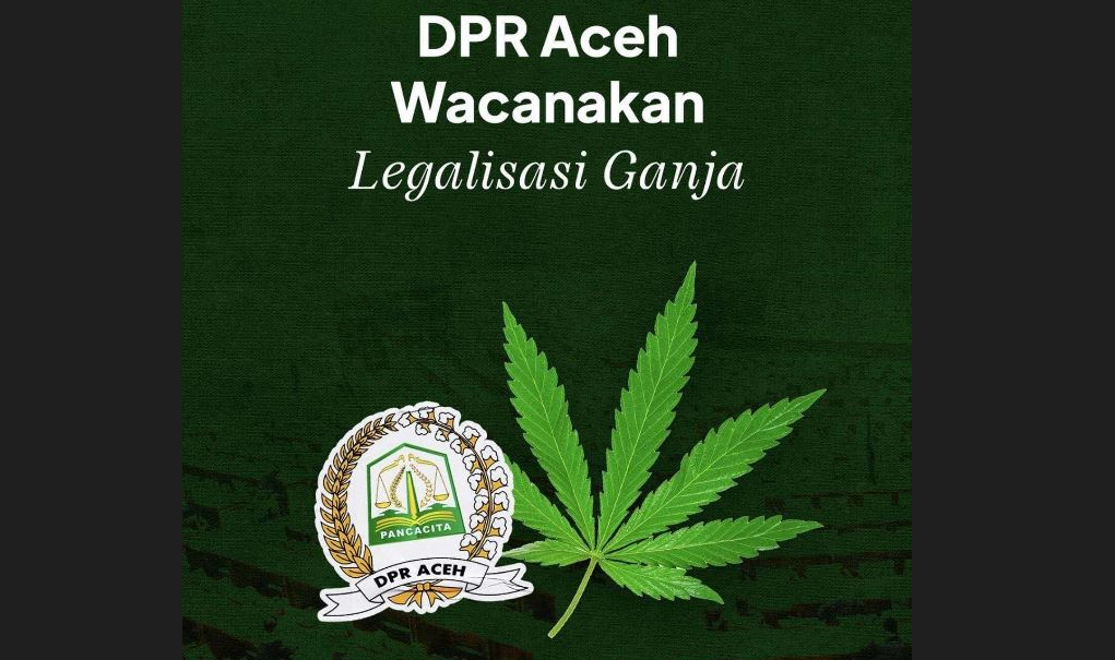 Komisi V DPR Aceh wacanakan legalisasi ganja untuk kebutuhan medis.(Foto: Instagram)