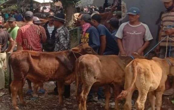 Suasana di sebuah pasar hewan di Kabupaten Probolinggo. (Foto: Ikhsan Mahmudi/Ngopibareng.id)