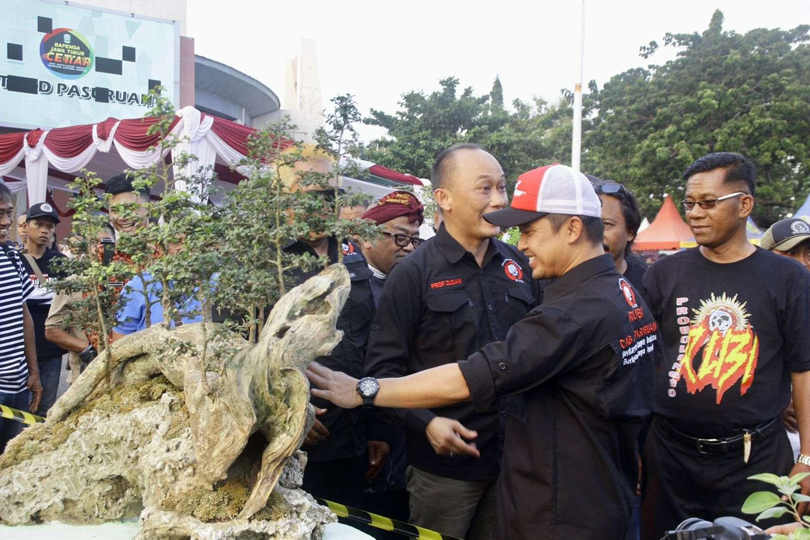 Wakil Walikota Pasuruan, Adi Wibowo saat melihat salah satu tanaman bonsai milik peserta Pameran Pekan Raya Bonsai di Kota Pasuruan. (Foto: dok. Humas Pemkot Pasuruan)