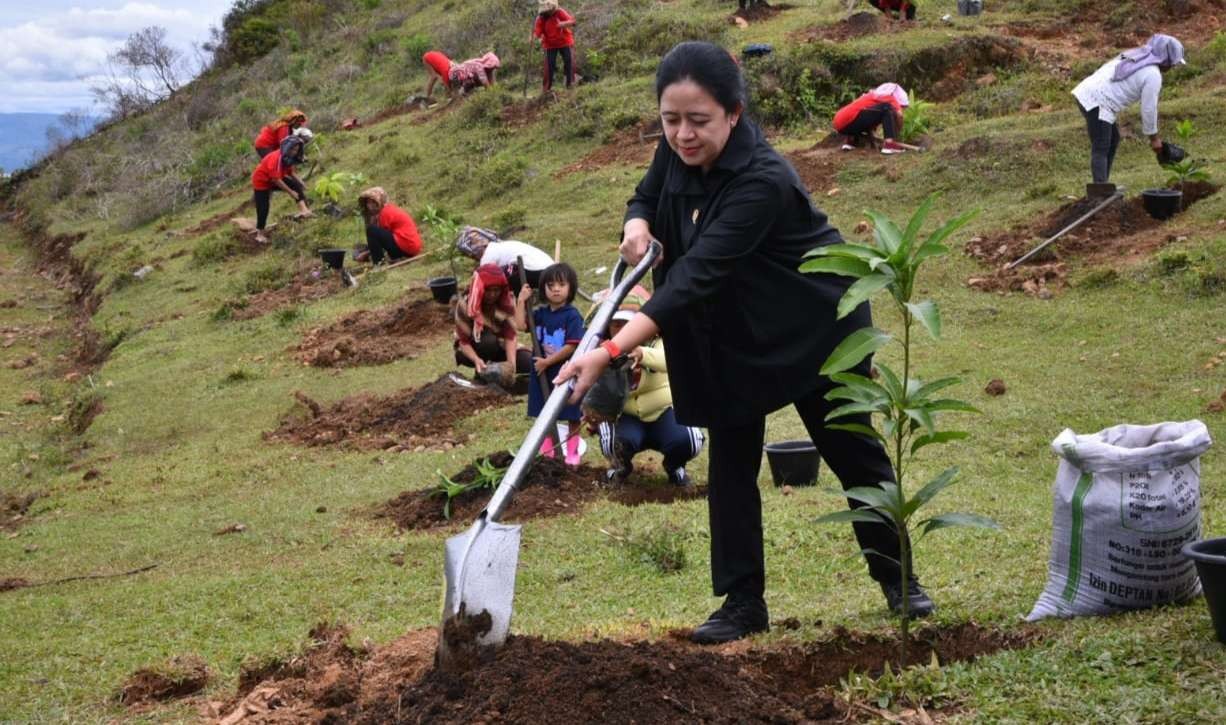 Ketua DPR Puan Maharani melakukan penghijauan di kawasan Toba dengan menanam bibit pohon mangga bersama warga ( foto: Pusat Pemberitaan DPR )