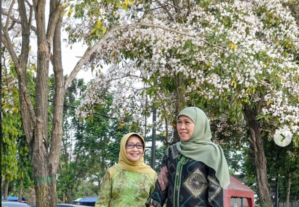 Gubernur Jawa Timur Khofifah Indar Parawansa bersama Bupati Jombang Mundjidah Wahab di bawah pohon tabebuya yang sedang berbunga di Jombang. (Foto: Instagram)