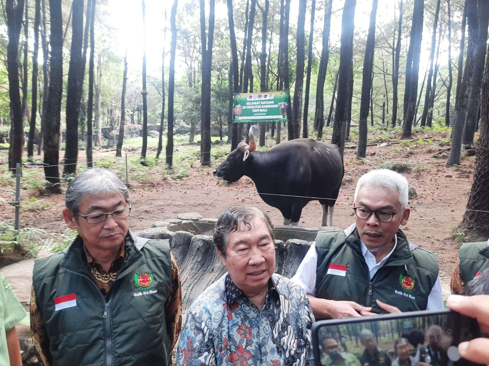 PT Smelting ketika meninjau Banteng Jawa di Taman Safari Indonesia Prigen. (Foto: Alief Sambogo/Ngopibareng.id)