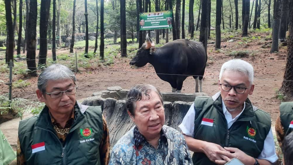 PT Smelting ketika meninjau Banteng Jawa di Taman Safari Indonesia Prigen. (Foto: Alief Sambogo/Ngopibareng.id)