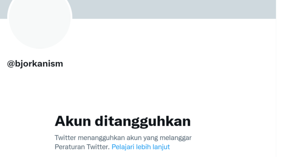 Akun Twitter serta kanal Telegram hacker Bjorka, tak lagi bisa diakses per Minggu, 11 September 2022 petang. Ia mengaku kena suspend. (Foto: Twitter)
