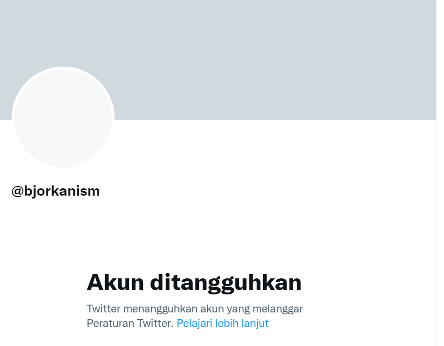 Akun hacker Bjorka hilang di Twitter pun di kanal Telegram. Sejumlah pejabat membantah kevalidan data yang dibocorkan Bjorka sebelumnya. (Foto: Twitter)