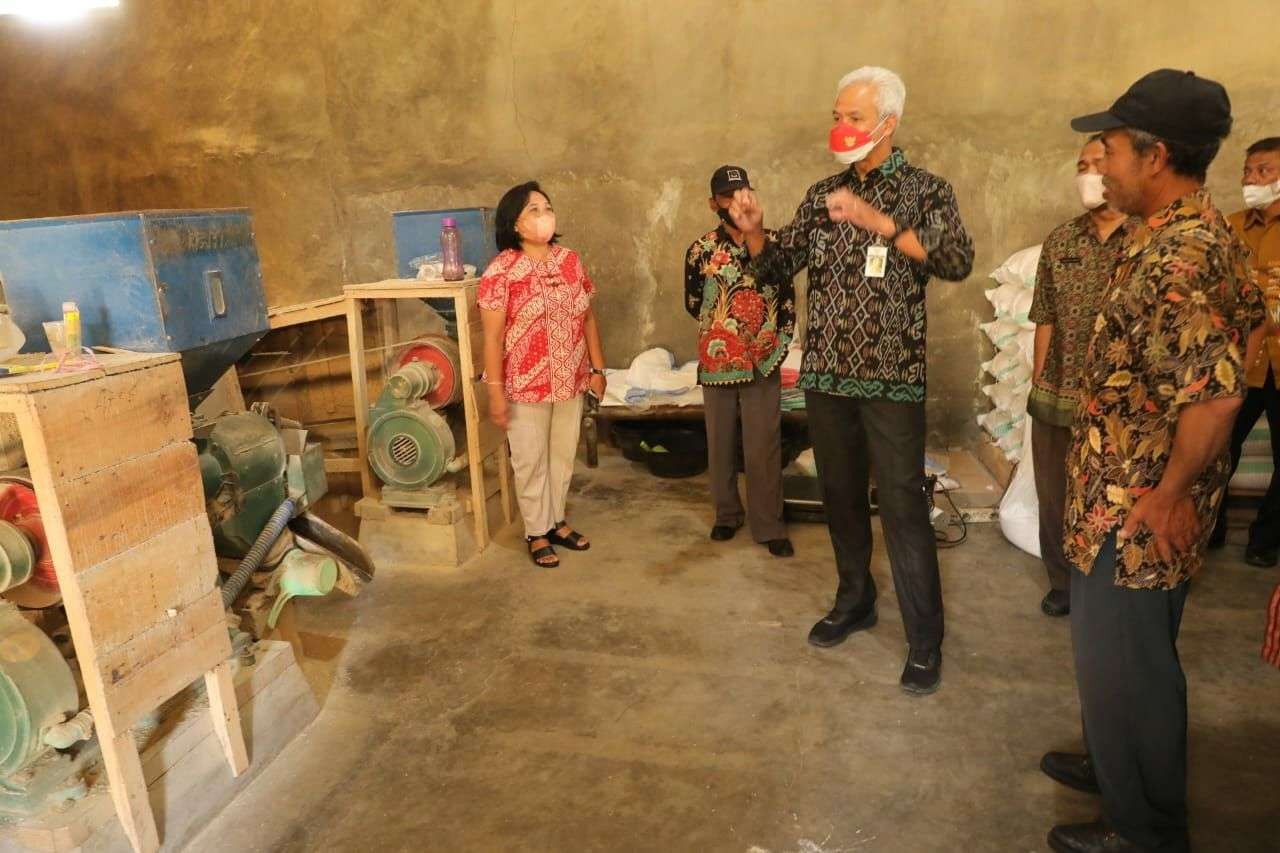 Gubernur Jawa Tengah Ganjar Pranowo melihat praktik Gapoktan Tani Subur di Desa Tambakboyo, Semarang, yang mampu memangkas middle man. (Foto: istimewa)