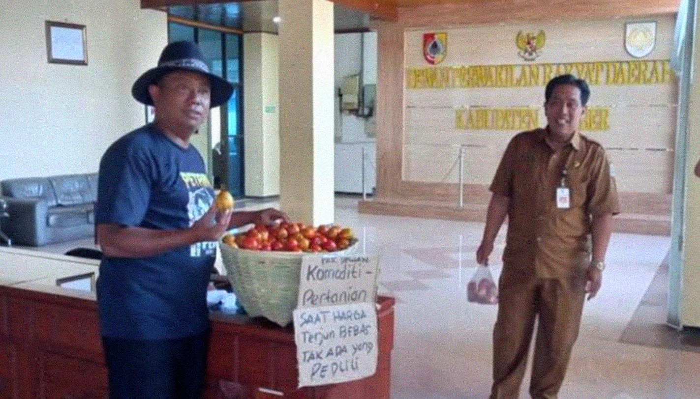 Petani Jember melakukan aksi bagi-bagi tomat gratis di gedung DPRD Jember (Foto: Rusdi/Ngopibareng.id)