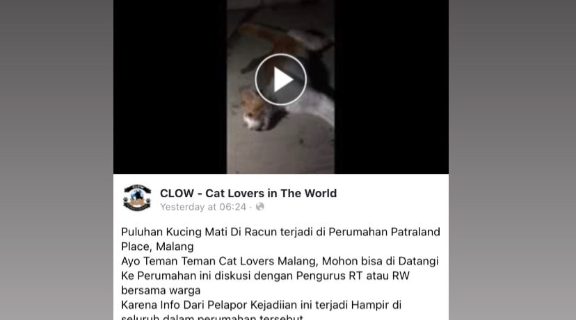 Postingan informasi diduga sejumlah kucing keracunan di kompleks perumahan, Kota Malang (Facebook: Cat Lovers in The World)