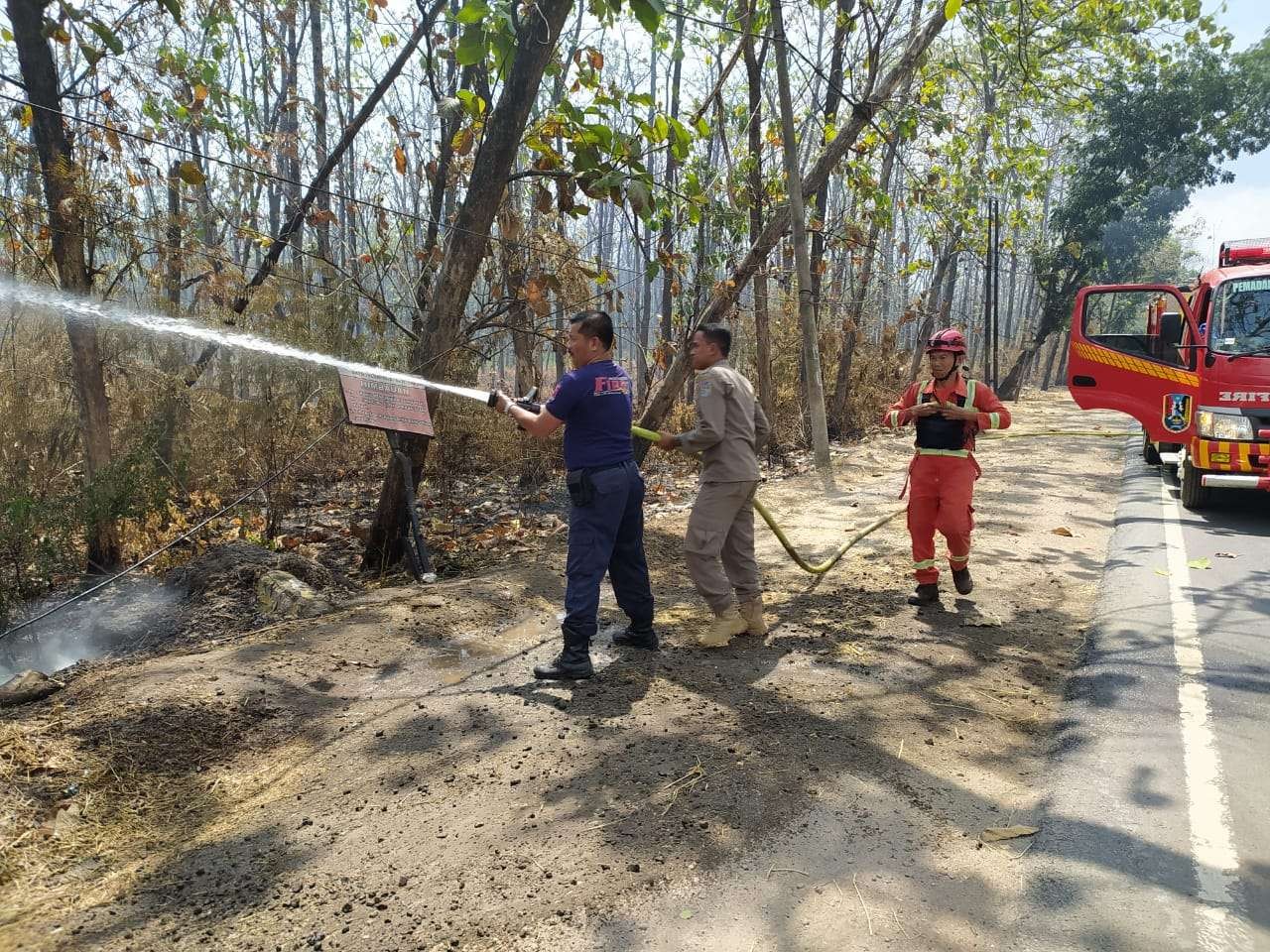 Petugas dari Satpol PP dan Damkar Tuban melakukan upaya pemadaman api di hutan jati yang terbakar. (Foto: dok. Damkar Tuban)