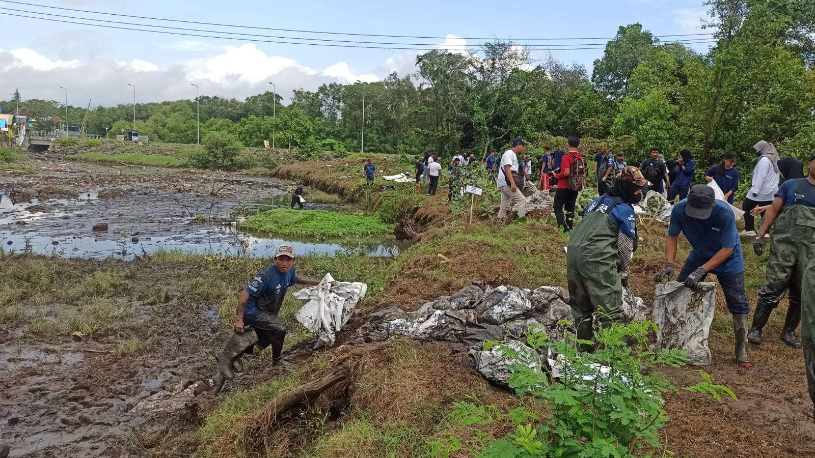 Puluhan orang memungut sampah di muara sungai Kali Lo Banyuwangi (Foto: Muh Hujaini/Ngopibareng.id)