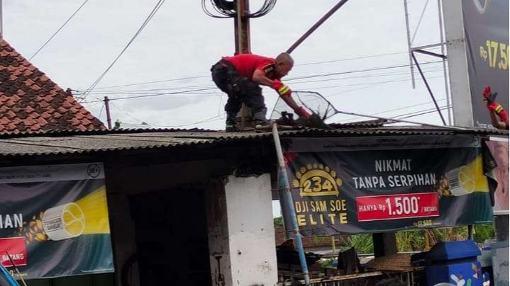 Petugas Damkar Kota Kediri sedang evakuasi monyet yang kesetrum. (Foto: Istimewa)